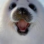 ごまちゃん姫さんのプロフィール画像