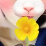 ぷーちゃんさんのプロフィール画像