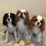 まめさんのプロフィール画像