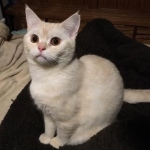 たろちゃんさんのプロフィール画像