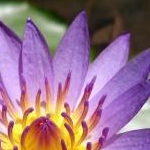 まるみさんのプロフィール画像