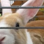 Wooさんのプロフィール画像