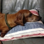 マロンさんのプロフィール画像