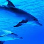 まゆさんのプロフィール画像