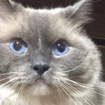 ゆちさんのプロフィール画像