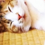 sky_mamanさんのプロフィール画像