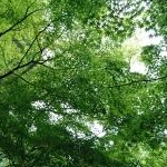 まめっこさんのプロフィール画像