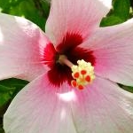 Kyoちゃんさんのプロフィール画像