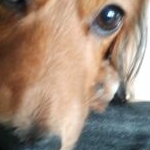 秀幸さんのプロフィール画像