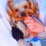 塚さんのプロフィール画像