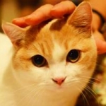 conecoさんのプロフィール画像