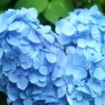 リトバさんのプロフィール画像