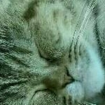 しーちゃんのママ@美容マ…