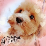 daikichi＠美容健康マニアさんのプロフィール画像