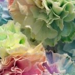 mamiさんのプロフィール画像