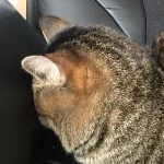 さんのプロフィール画像