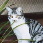 deraco^_&minus;☆さんのプロフィール画像