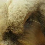 みいさんのプロフィール画像