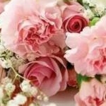 ちょこ☆さんのプロフィール画像