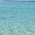 まいたそさんのプロフィール画像