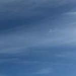 sachiiさんのプロフィール画像