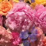 Yu☆さんのプロフィール画像