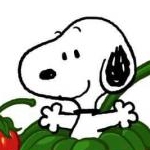 ricopyさんのプロフィール画像