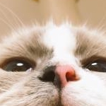 okogeomotiさんのプロフィール画像