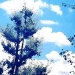 かーゆさんのプロフィール画像