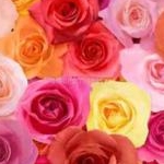 むーさんのプロフィール画像