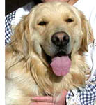 くまママさんのプロフィール画像