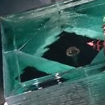 osamotanさんのプロフィール画像