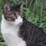 aunさんのプロフィール画像