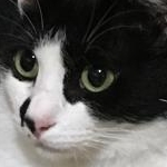 j.cobさんのプロフィール画像