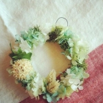 hanahanatoitoiさんのプロフィール画像