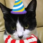 あっちゅさんのプロフィール画像