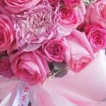 y.cocoさんのプロフィール画像