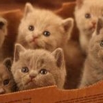 うなさんのプロフィール画像