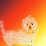 大梅さんのプロフィール画像