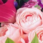 なおさんさんのプロフィール画像