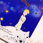 さくらさこさんのプロフィール画像