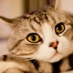 sasaさんのプロフィール画像