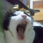 AAさんのプロフィール画像