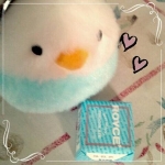 ちこさんのプロフィール画像