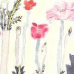 ham82さんのプロフィール画像