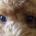 きよみんーむぅさんのプロフィール画像