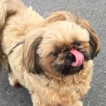 まりまりさんのプロフィール画像