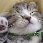 びすこさんのプロフィール画像