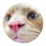 mottiyさんのプロフィール画像