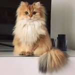 さんのプロフィール画像